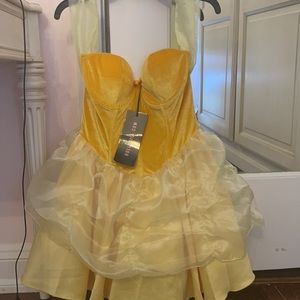 Princess Belle dress halloween costume